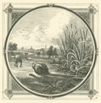 Molti scivoloni tra la coppa e il labbro da John Leighton