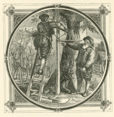 I rami possono essere addestrati, ma non il tronco da John Leighton