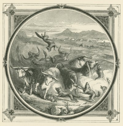Quando arriva il lupo, i buoi smettono di combattere per unirsi in autodifesa da John Leighton