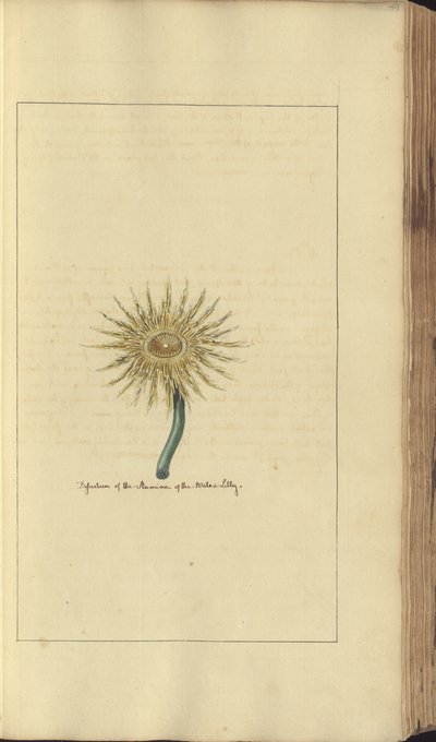 Una pagina da 