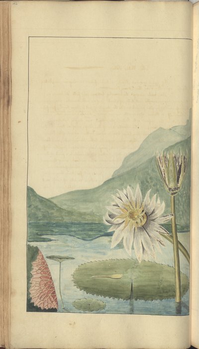 Una pagina da 