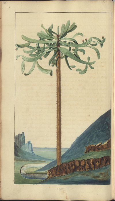 Una pagina da 