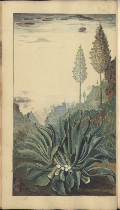 Una pagina da 
