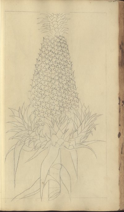 Una pagina da 