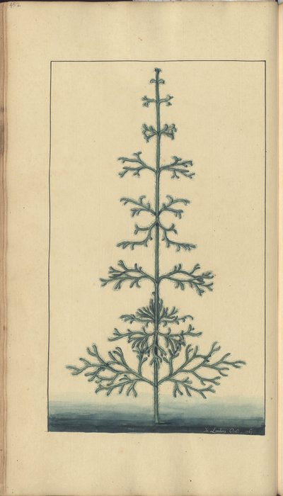 Una pagina da 