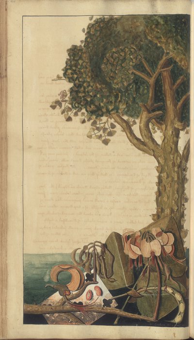 Una pagina da 