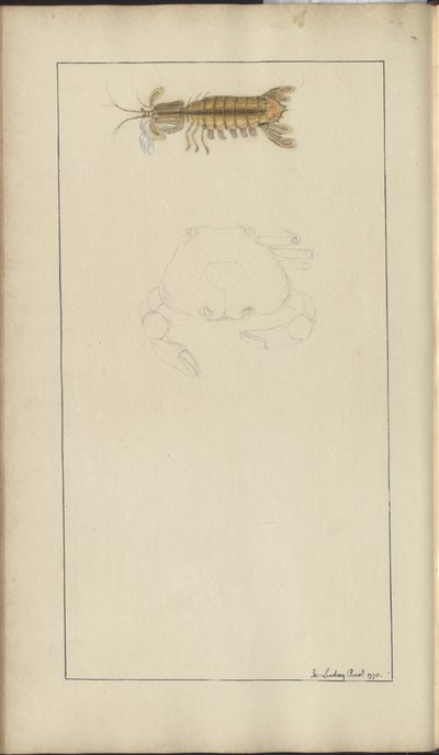 Disegni di Lindsay Vol. VII, 24 da John Lindsay
