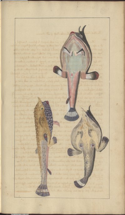 Disegni di Lindsay Vol. VII, 27 da John Lindsay