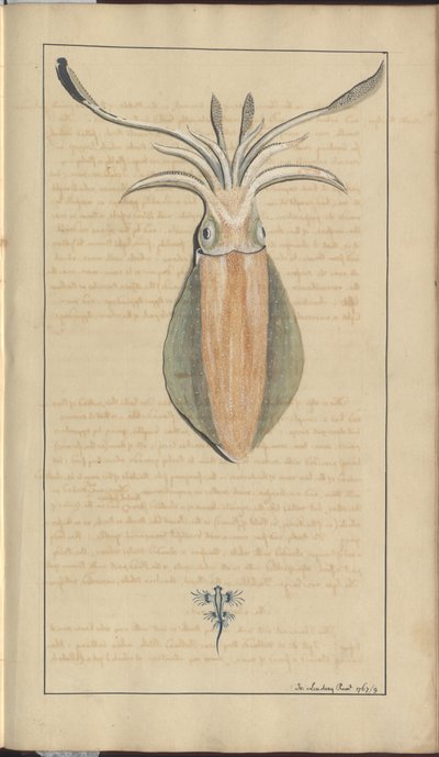Lindsay Drawings Vol. VII, 29 da John Lindsay