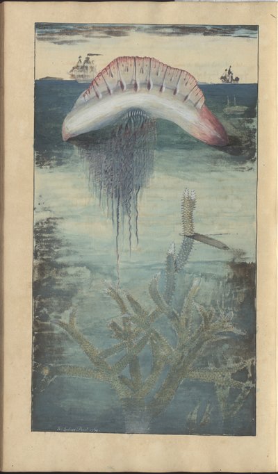 Disegni di Lindsay Vol. VII, 30 da John Lindsay