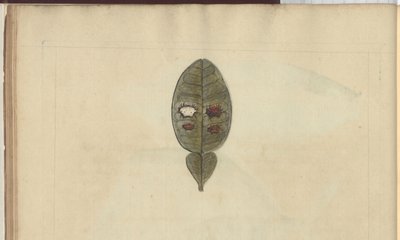 Disegni di Lindsay Vol. VII, 3 da John Lindsay