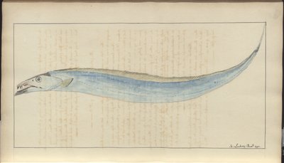 Disegni di Lindsay Vol. VII, 9 da John Lindsay
