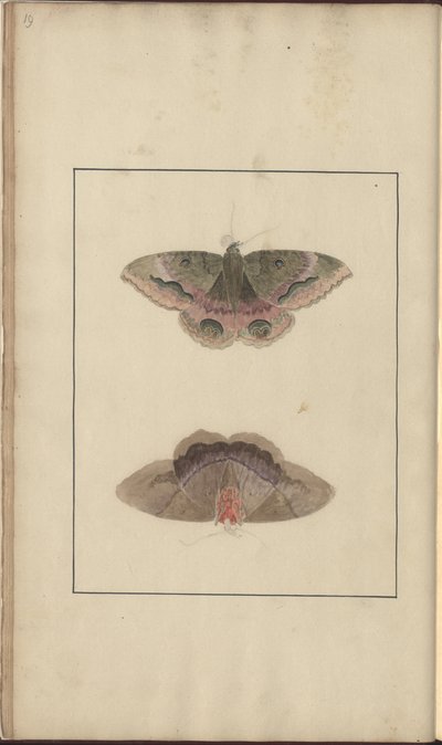 Disegni di Lindsay Vol. VI da John Lindsay