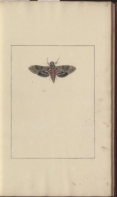 Disegni di Lindsay Vol. VI da John Lindsay
