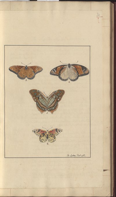 Disegni di Lindsay Vol. VI, 30 da John Lindsay
