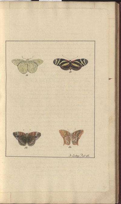 Lindsay Drawings Vol. VI, 36 da John Lindsay