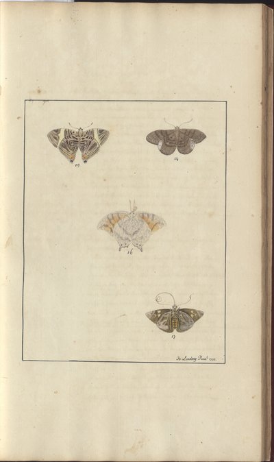 Disegni di Lindsay Vol. VI, 42 da John Lindsay
