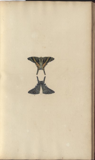 Disegni di Lindsay Vol. VI, 48 da John Lindsay