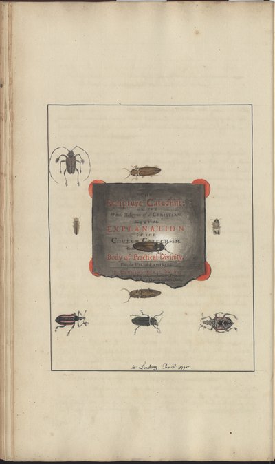 Disegni di Lindsay Vol. VI, 95 da John Lindsay