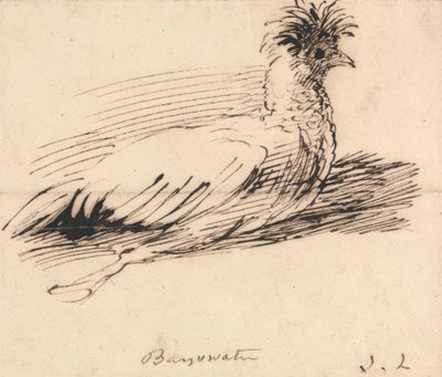 Una gallina da John Linnell