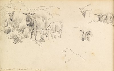 Asini da John Linnell