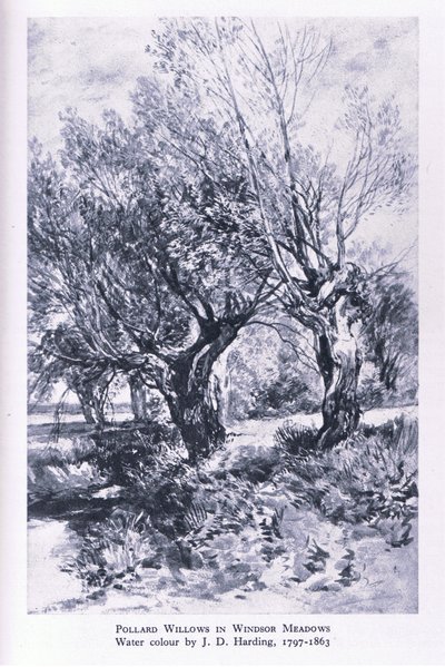 Taglialegna ai margini della Foresta di Windsor, Natura in Gran Bretagna pubblicata da Collins da John Linnell