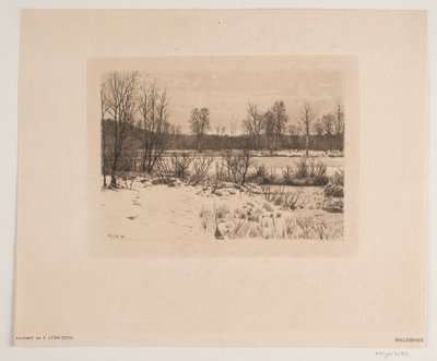 Bøllemosen da John Lübschitz
