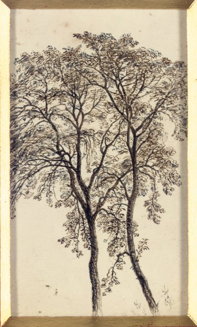 Studio di alberi da John MacWhirter