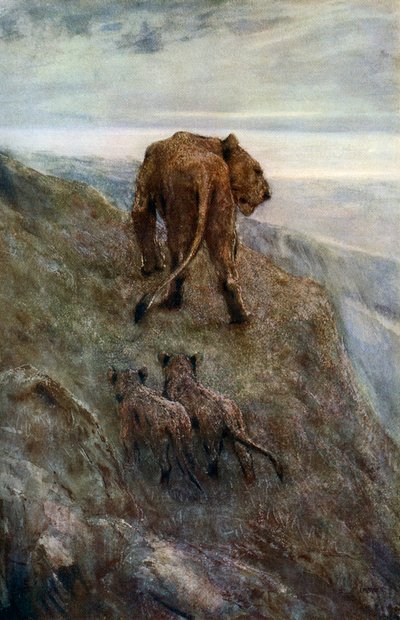 In allerta - Leonessa e cuccioli, c1878-1910, 1912 da John Macallan Swan