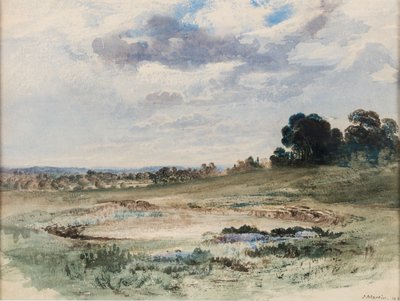 Paesaggio (Possibilmente Richmond Park, Londra) da John Martin