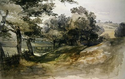 Un viale ombreggiato, Tunbridge Wells da John Middleton