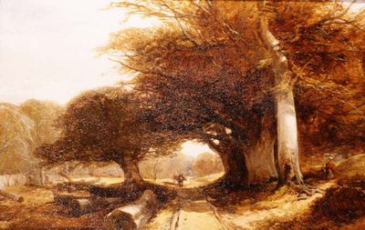 Paesaggio boschivo da John Middleton