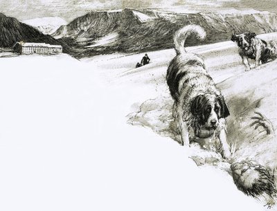 Ecco perché... Questi cani da montagna sono chiamati San Bernardo da John Millar Watt