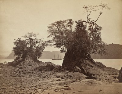 Isole nella baia di Limón, 1871 da John Moran