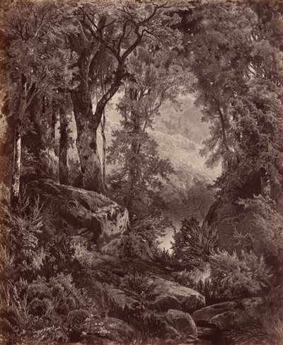 Solitudine, 1865 (foto) da John Moran