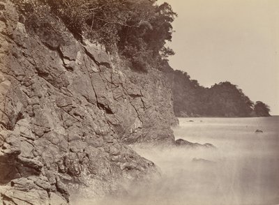Scenario tropicale, scogliera - Baia di Limon, 1871 da John Moran