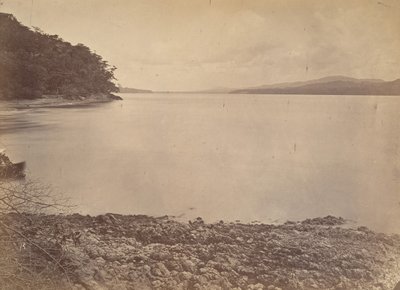 Paesaggio tropicale, porto di Darien - vista verso sud da John Moran