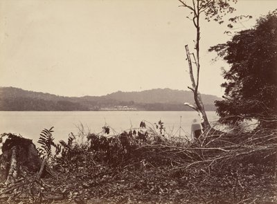 Paesaggio tropicale, Porto di Darien, Chipigana, 1871 da John Moran