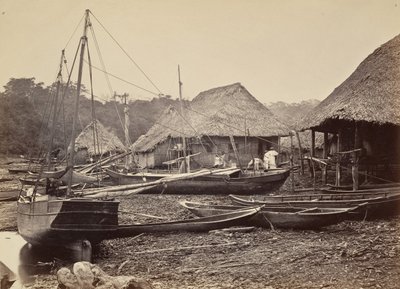 Paesaggio tropicale, sbarco, Chipigana, 1871 da John Moran