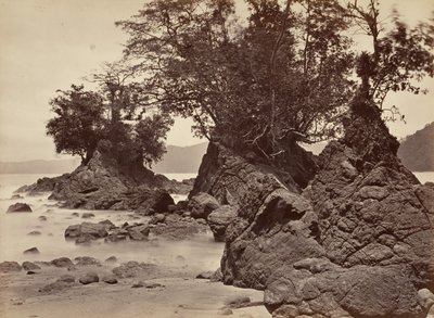 Paesaggio tropicale, Baia di Limon - Bassa marea, 1871 da John Moran