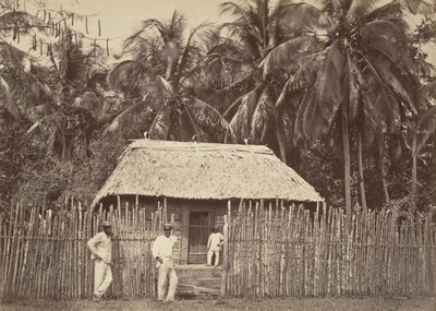 Scenari tropicali, capanna nativa, Turbo, 1871 da John Moran