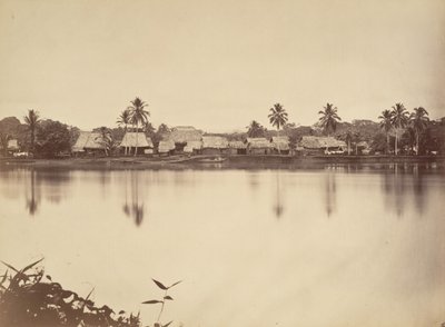 Paesaggio tropicale, Santa Maria del Real, Darien, 1871 da John Moran