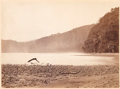 Paesaggio tropicale: L