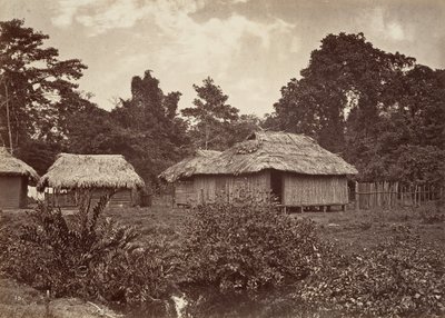 Paesaggio tropicale, Villaggio Turbo, 1871 da John Moran