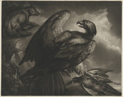 Aquila e volpe da John Murphy after James Northcote
