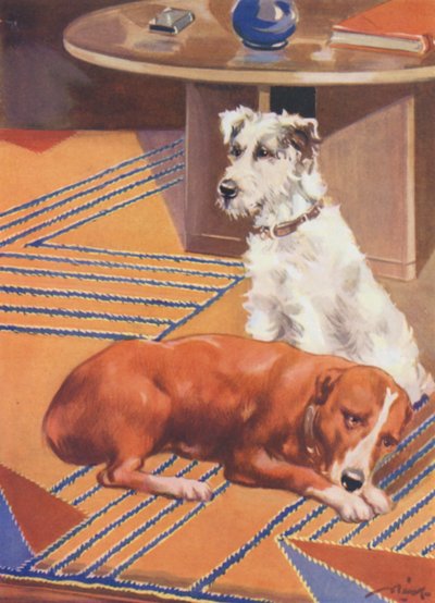 Illustrazione per Beautiful Joe di Marshall Saunders da John Nicholson