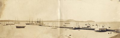 Porto di Auckland, 1865 da John Nicol Crombie