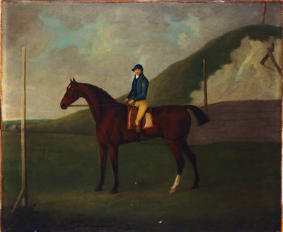 "Creeper", un puledro baio con fantino alla partenza al Running Gap nel Devils Ditch, Newmarket da John Nott Sartorius