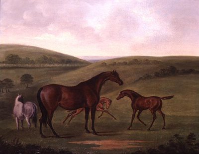 Cavalla con puledri in un paesaggio da John Nott Sartorius