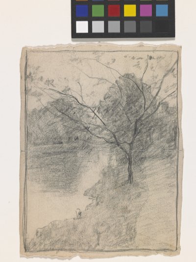 Albero accanto a un ruscello da John Otis Adams